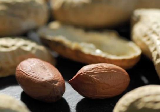 Faire manger de l arachide aux nourrissons réduit les allergies